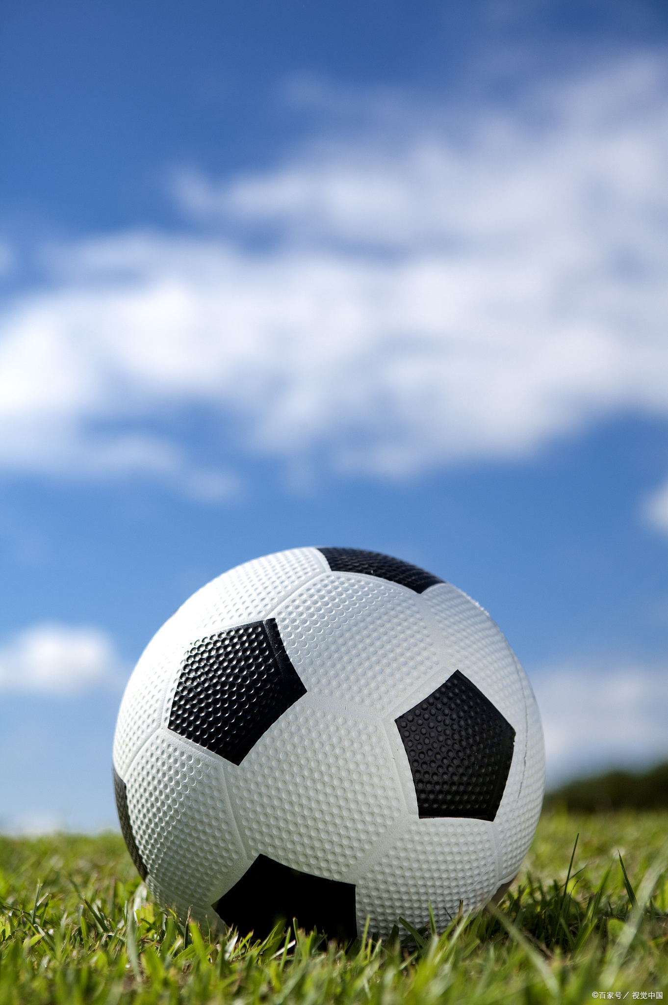 足球比赛中的金球瞬间,成为轰动焦点 足球比赛中的金球瞬间,成为轰动焦点