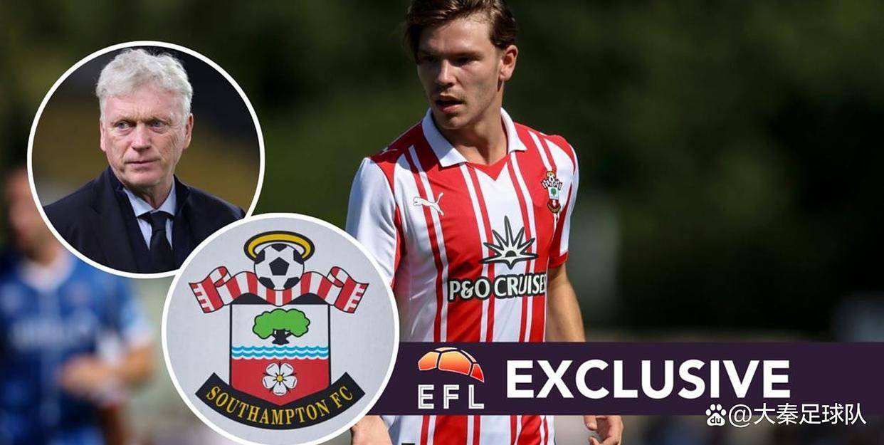 南安普顿主场力克埃弗顿,继续保持领先 南安普顿主场力克埃弗顿,继续保持领先