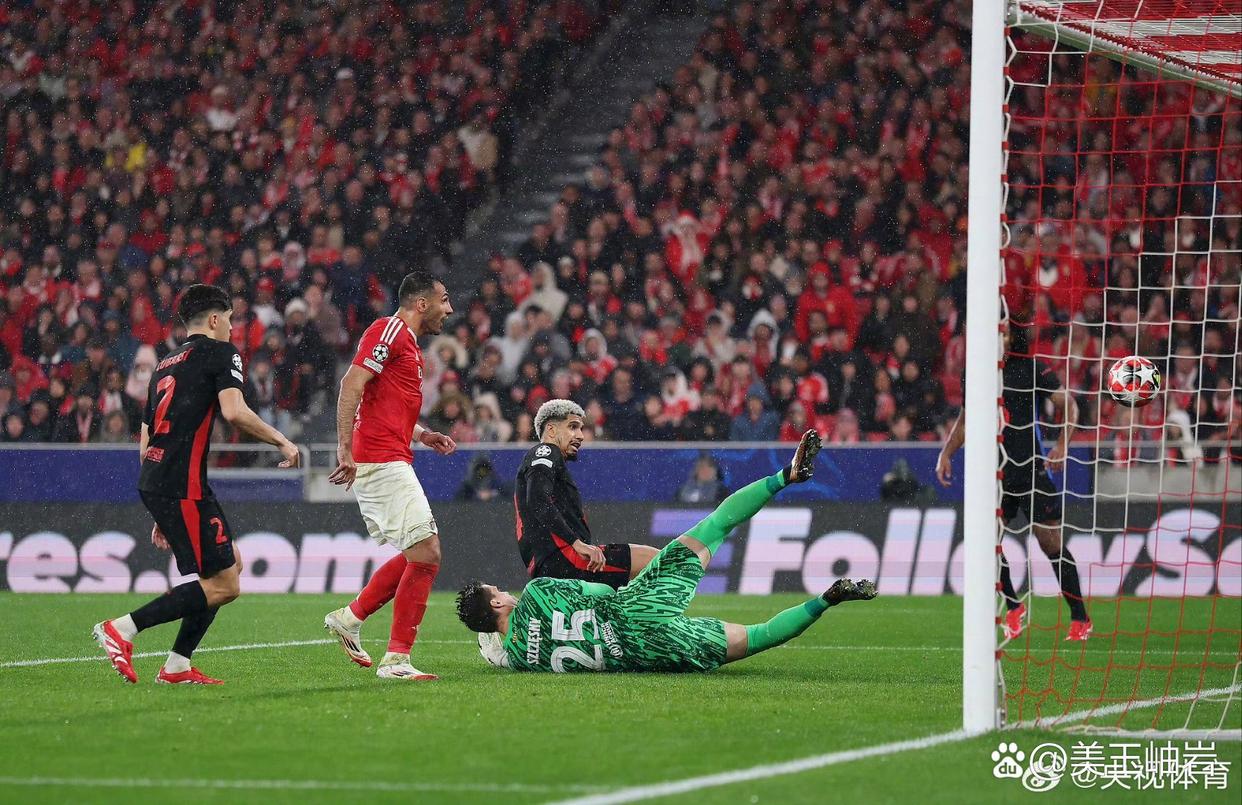 里尔客场击败图卢兹,保持领先 里尔客场击败图卢兹,保持领先